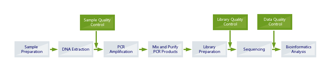 16S-project-workflow-Dec-2-Ivy-2.png