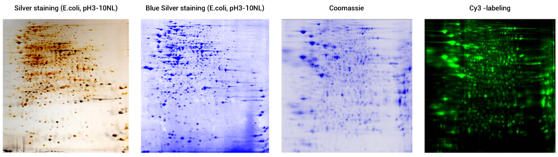 Whole Genome Resequencing