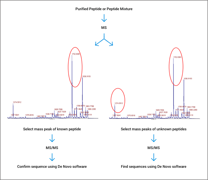 Whole Genome Resequencing