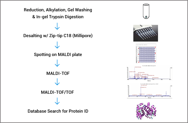 Whole Genome Resequencing